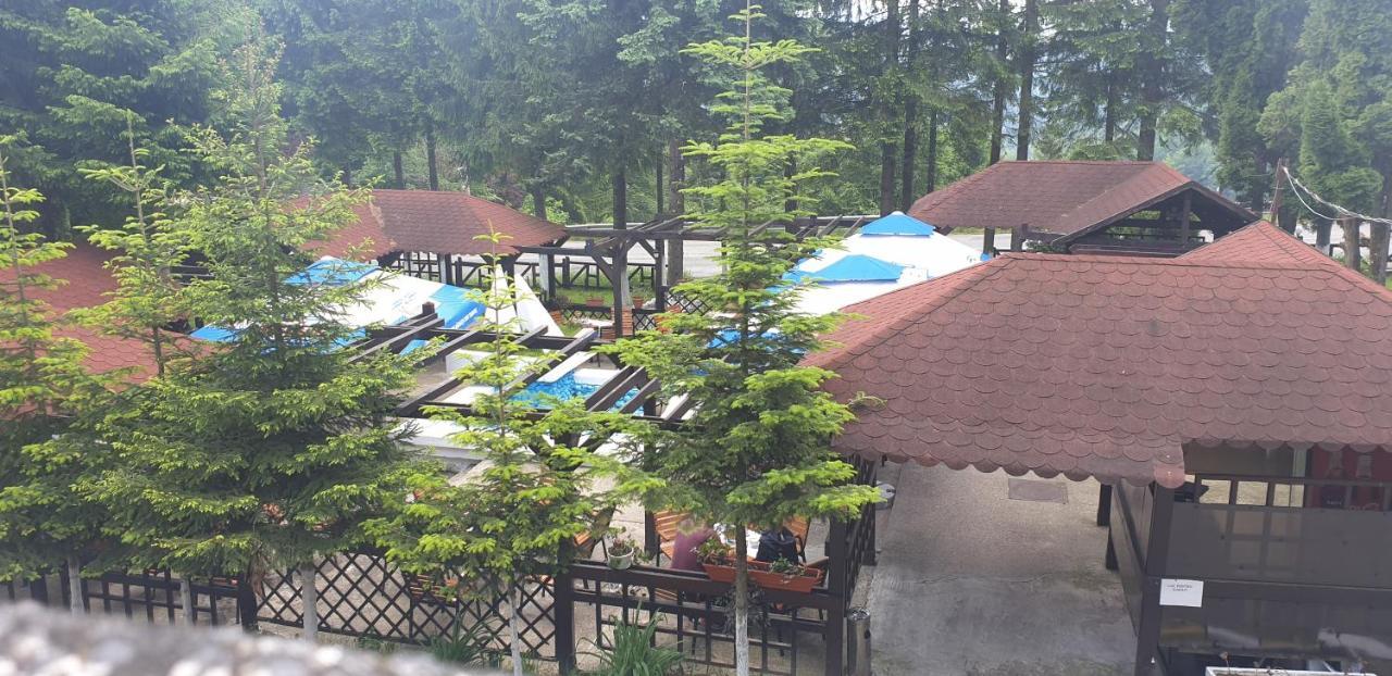 Hotel Bucegi Portile Regatului Paraul Rece Exterior foto